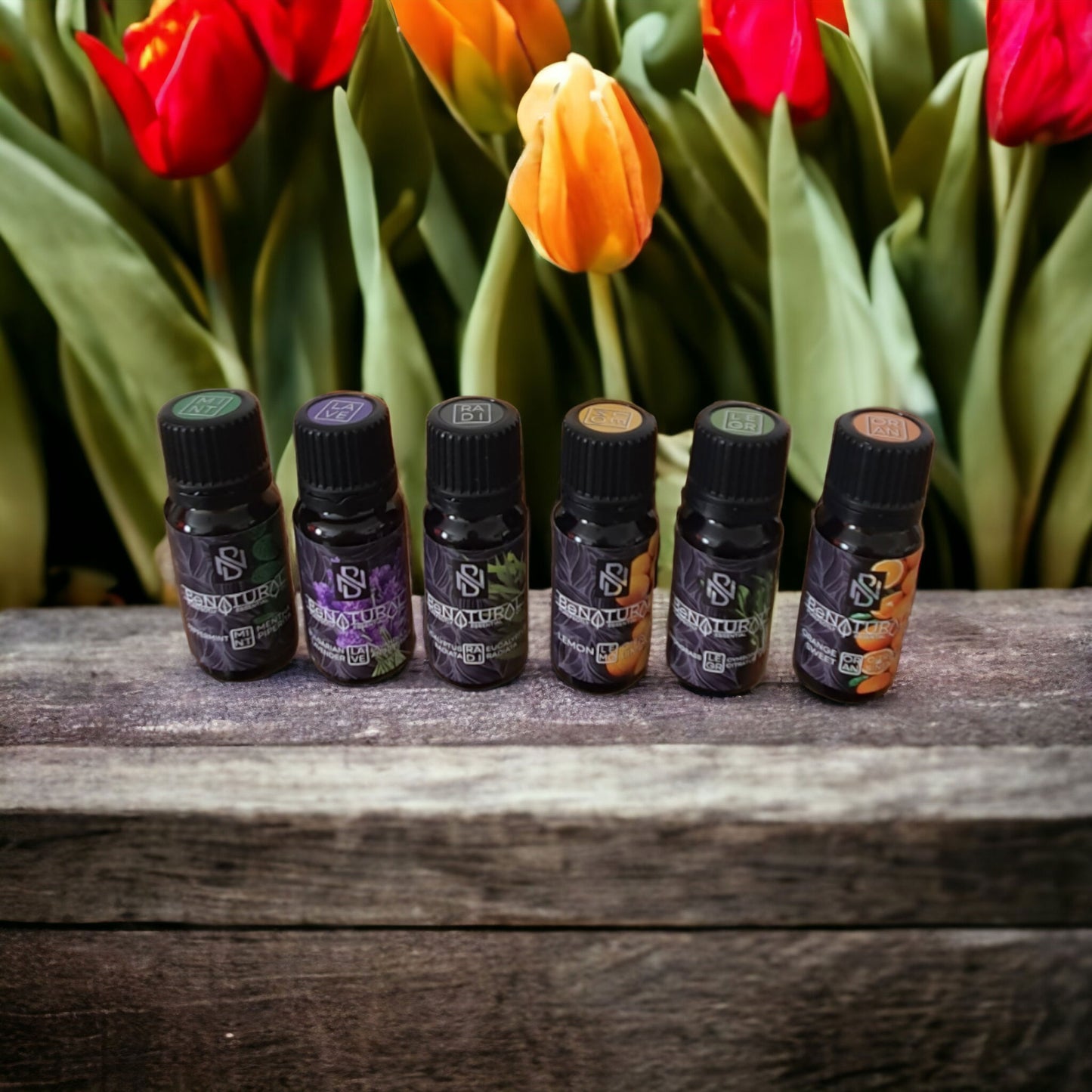 Special Selection 6 pack - Organic Essential Oil - 10ml