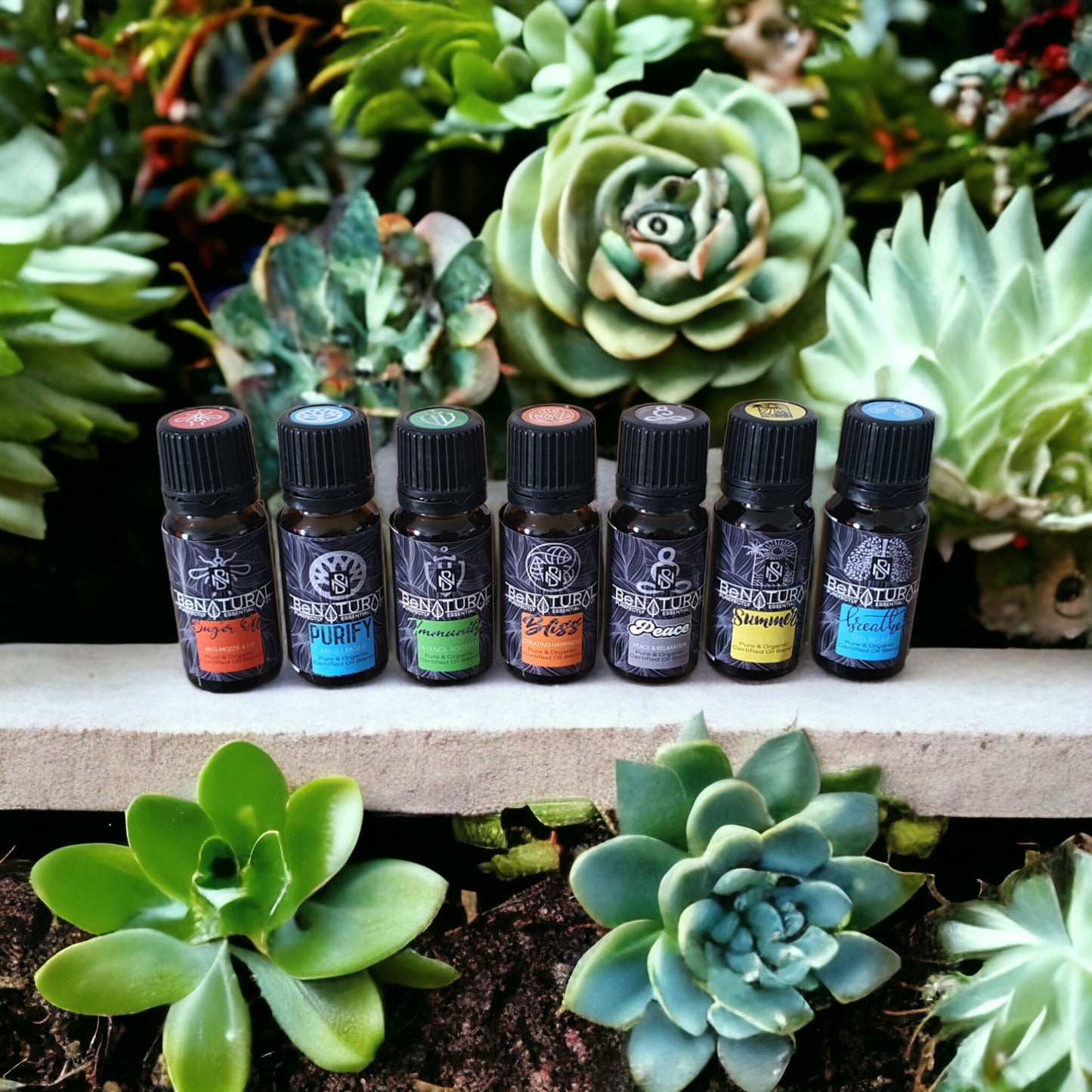 Be Natural Organics' Favorite Organic Blends (7 Pack)