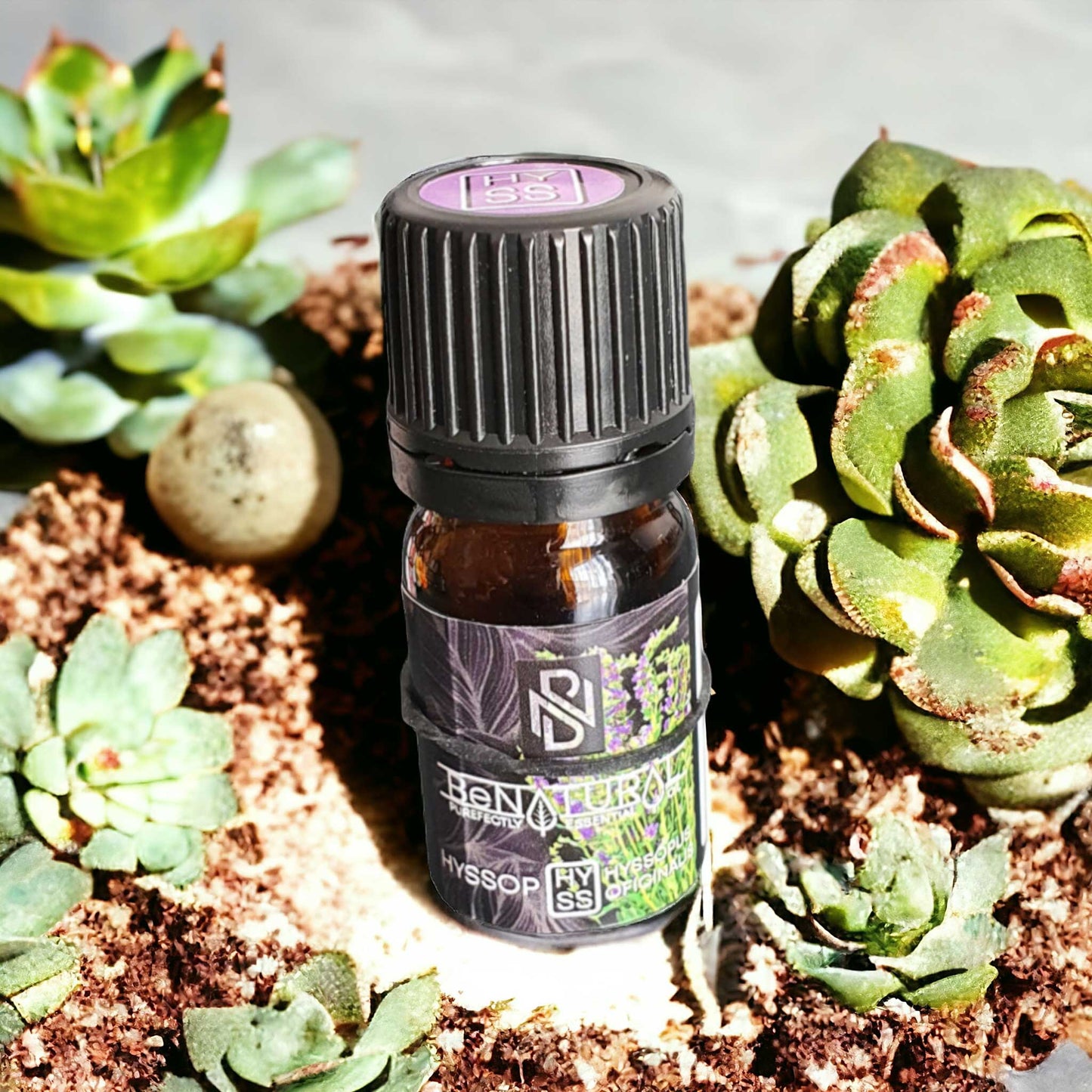 Hyssop - Organic Certified Essential Oil - Mini 5ml