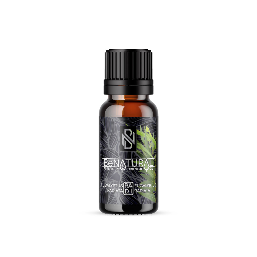 Eucalyptus Radiata's Benefits include (not limited to) One of the more versatile varieties, Organic Eucalyptus Radiata Essential oil scent is slightly Camphorous, sweet, and fruity. Organic Eucalyptus Radiata Essential oil can be diffused to aid in respiratory problems and assist with nasal congestion. Organic Eucalyptus Radiata Essential oil is also the most ideal version of Eucalyptus to use for Asthmatics.