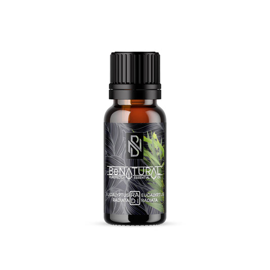 Eucalyptus Radiata's Benefits include (not limited to)  One of the more versatile varieties, Organic Eucalyptus Radiata Essential oil scent is slightly Camphorous, sweet, and fruity.     Organic Eucalyptus Radiata Essential oil can be diffused to aid in respiratory problems and assist with nasal congestion. Organic Eucalyptus Radiata Essential oil is also the most ideal version of Eucalyptus to use for Asthmatics.